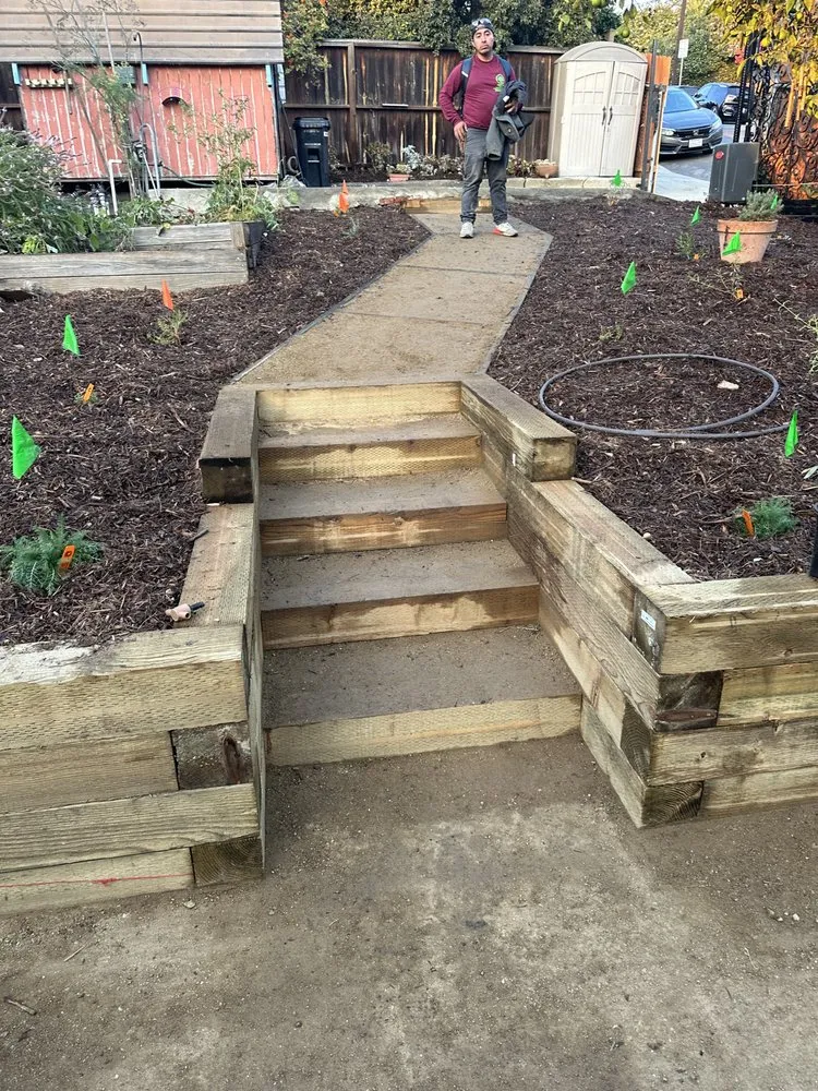 Affordable landscape installation in Sunland, CA by General Native Green