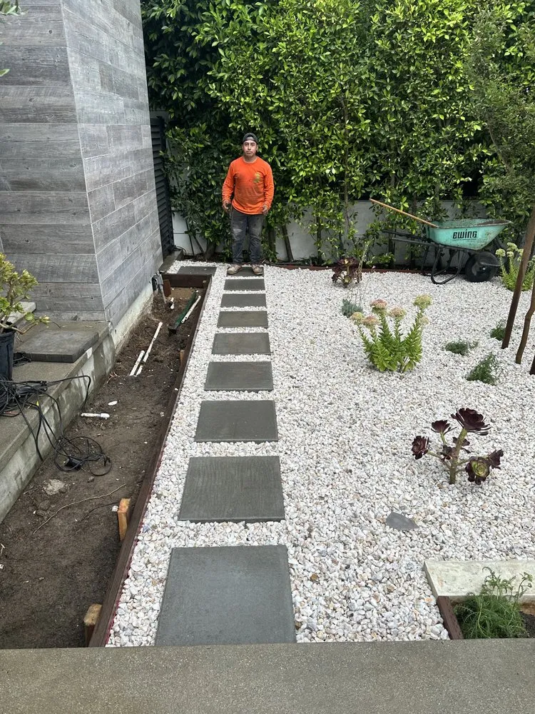 Local yard cleanup service in Sunland, CA by General Native Green