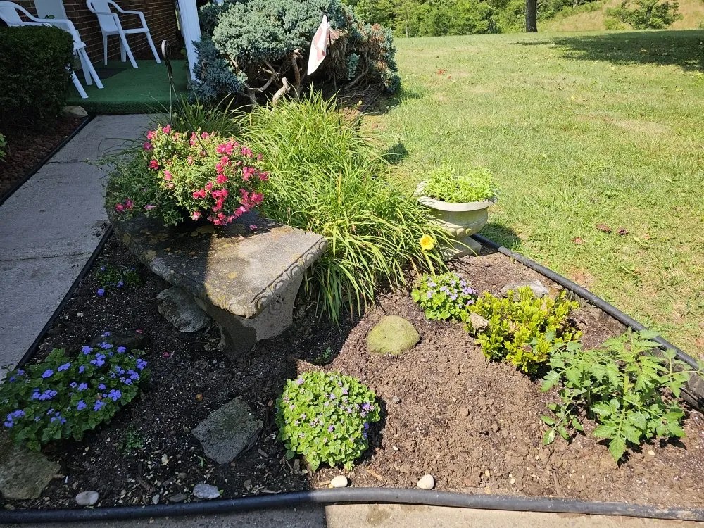 Affordable lawn care service experts serving Williamstown, WV - General Property Cleanup