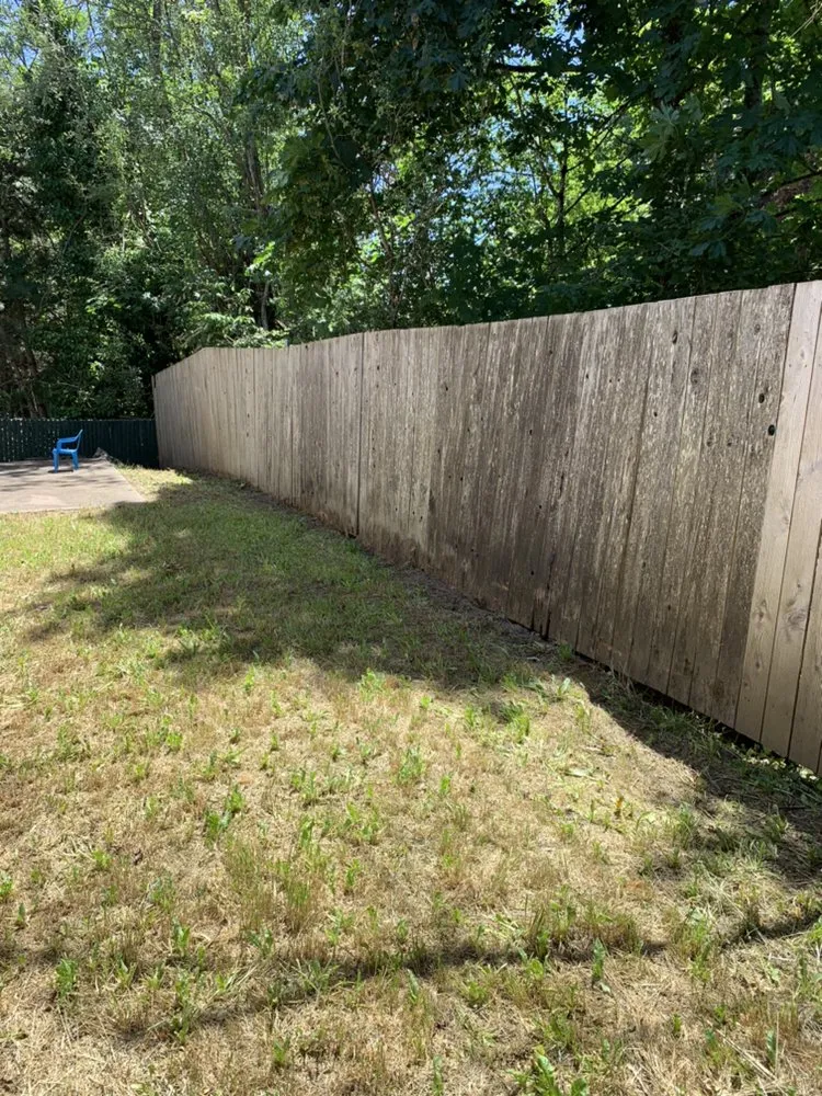 Professional landscape design in Tigard, OR - General Residential Services