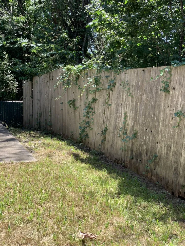 Professional lawn mowing service in Tigard, OR - General Residential Services