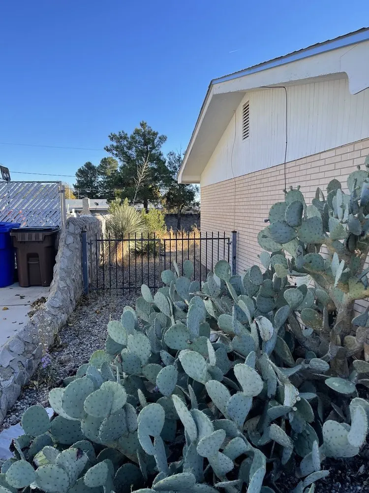 Top-rated yard maintenance with custom design in Las Cruces, NM by General Services Landscaping and Maintenance