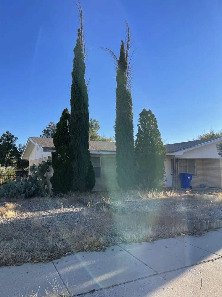 Affordable yard maintenance in Las Cruces, NM by General Services Landscaping and Maintenance