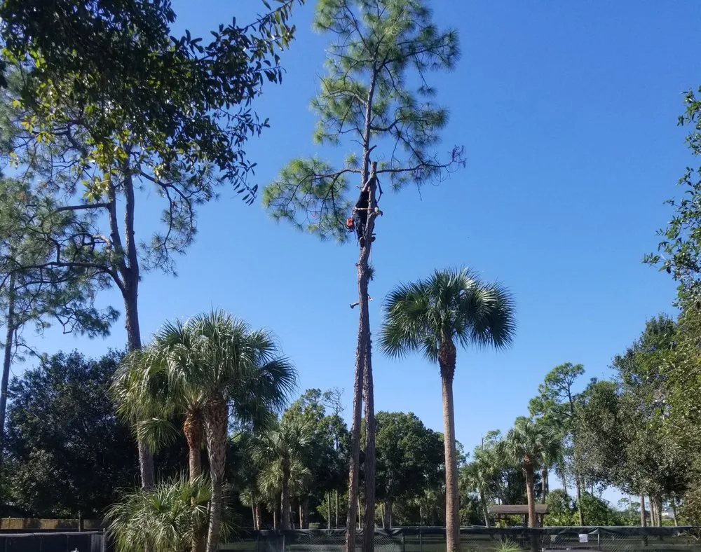 Top-rated landscaping services experts serving Naples, FL - General Tree and Lawn Service