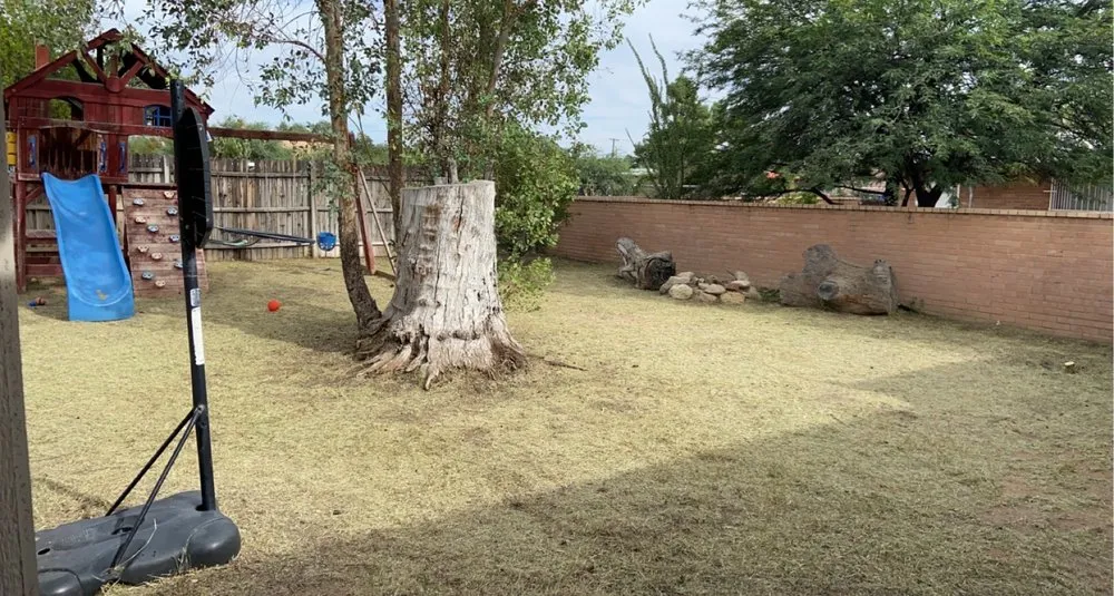 Top-rated landscape installation with custom design across Tucson, AZ - General Yard Work