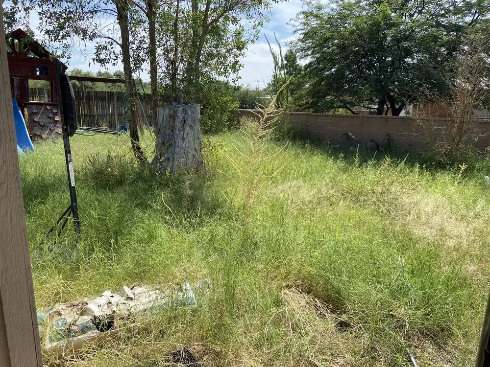 Expert residential landscaping in Tucson, AZ - General Yard Work