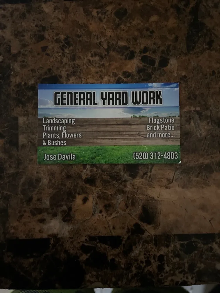 Professional yard maintenance in Tucson, AZ - General Yard Work