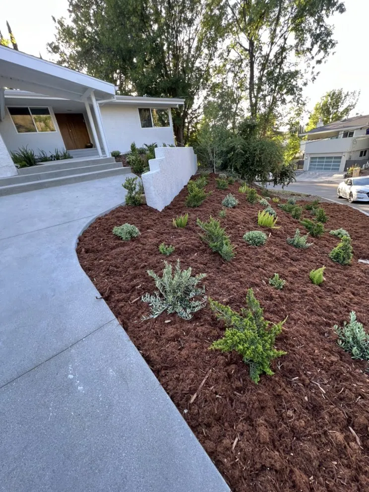 Trusted lawn care service for outdoor upgrades across Los Angeles, CA - Generation Landscape