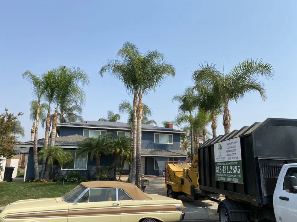 Custom lawn care service in Los Angeles, CA - Generation Landscape