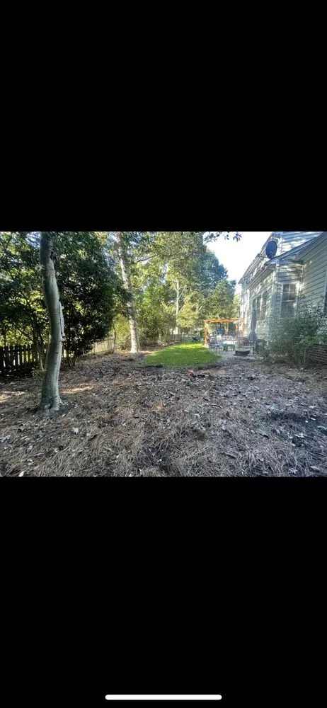 Professional landscape installation experts serving Williamsburg, VA - Generation Landscaping