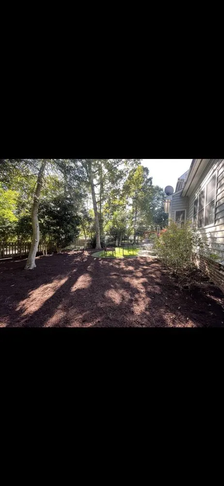 Expert residential landscaping for outdoor upgrades in Williamsburg, VA by Generation Landscaping