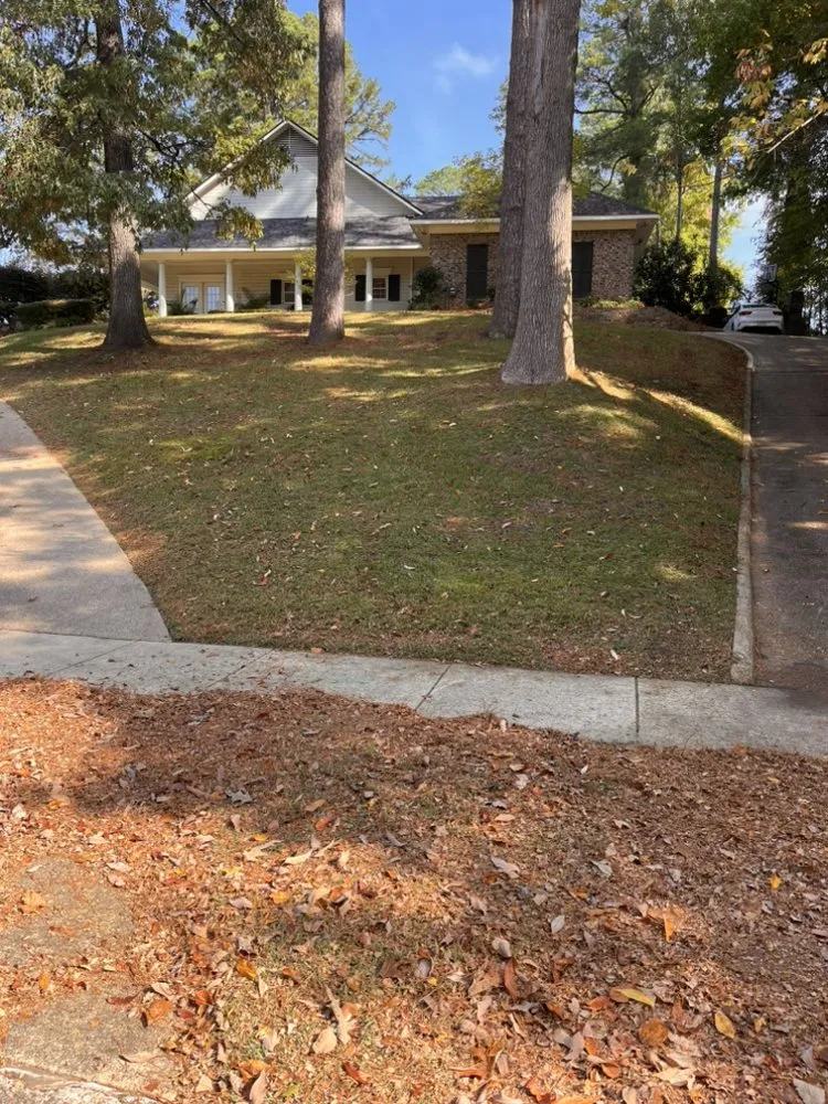 Professional lawn mowing service for outdoor upgrades in Shreveport, LA by Generation Lawn and Landscaping