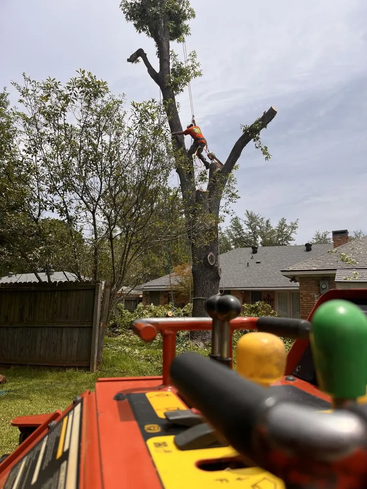 Local lawn care service for beautiful yards in Shreveport, LA by Generation Lawn and Landscaping