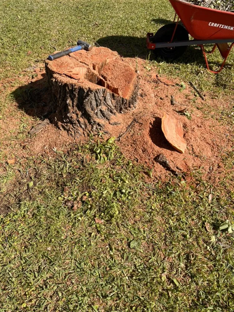 Custom yard cleanup service for residential properties across Shreveport, LA - Generation Lawn and Landscaping