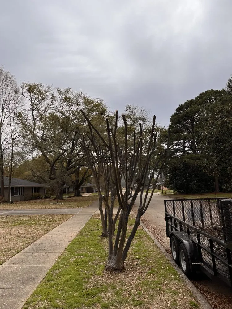 Professional lawn care service experts serving Shreveport, LA - Generation Lawn and Landscaping