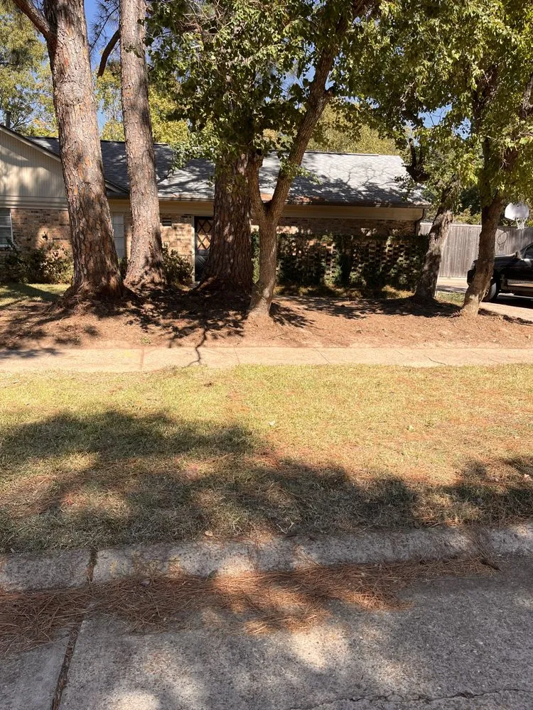 Custom yard cleanup service in Shreveport, LA - Generation Lawn and Landscaping