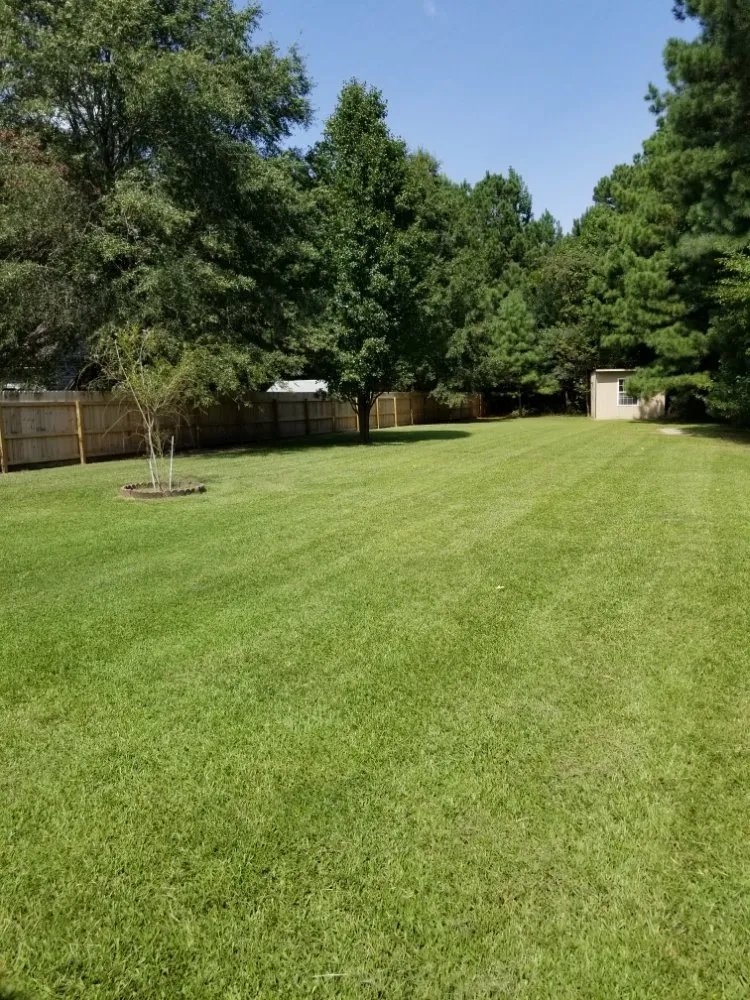 Affordable landscaping services for outdoor upgrades across Jacksonville, NC - Generational Lawn and Landscaping