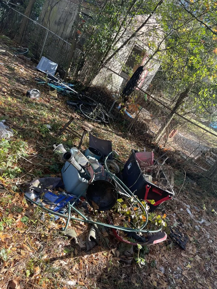 Top-rated landscaping services for year-round maintenance in Savannah, GA by Generational Wealth Junk Removal