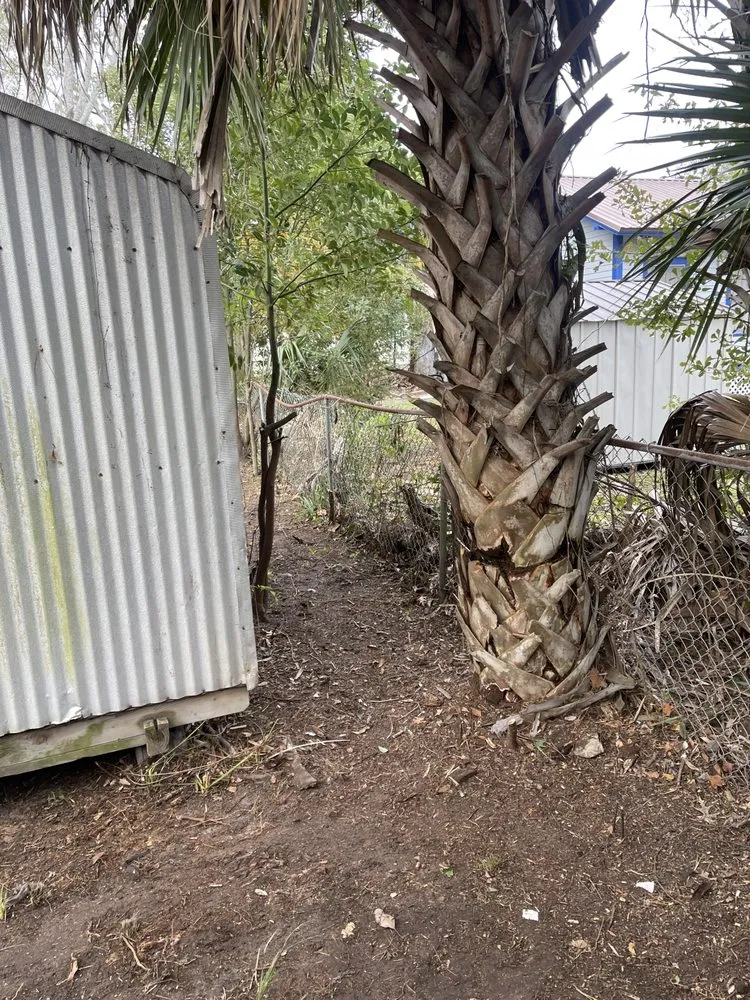 Custom landscape installation for homes in Savannah, GA by Generational Wealth Junk Removal