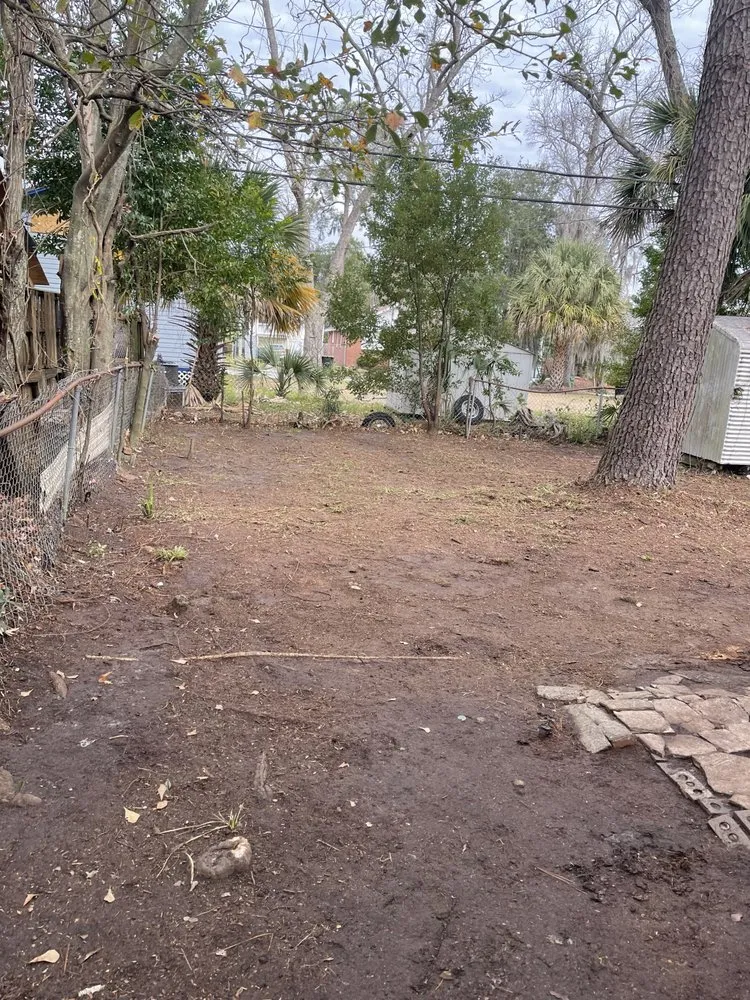 Reliable landscape design in Savannah, GA by Generational Wealth Junk Removal