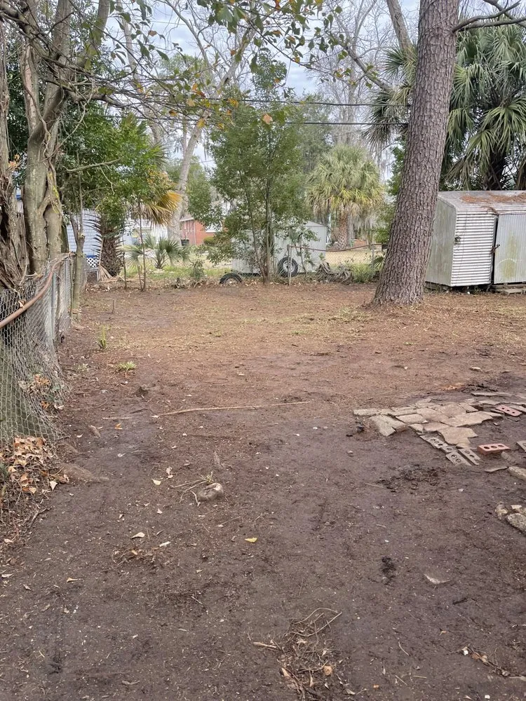 Trusted landscaping services in Savannah, GA by Generational Wealth Junk Removal