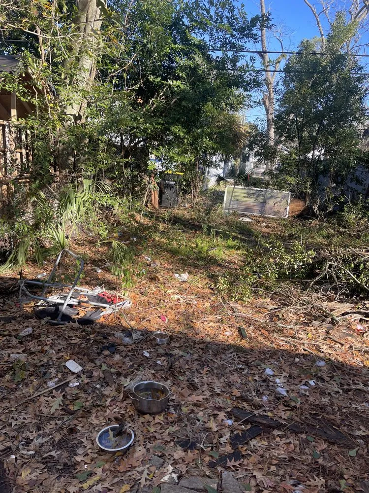 Affordable landscaping services for beautiful yards in Savannah, GA by Generational Wealth Junk Removal