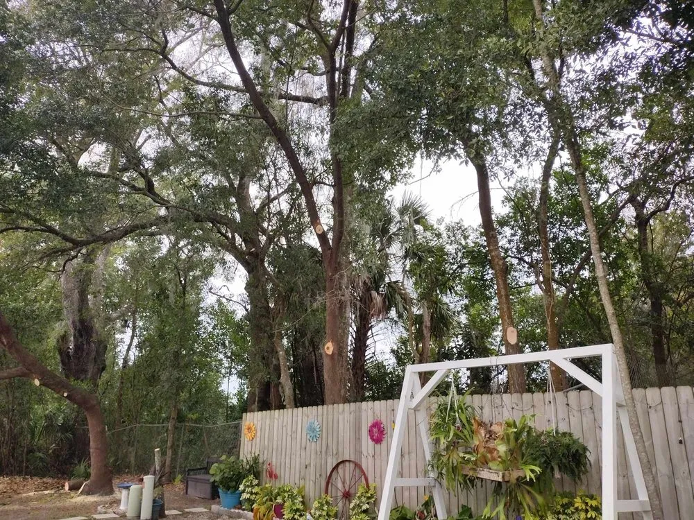 Trusted landscape design in Ocala, FL - Generations In Services