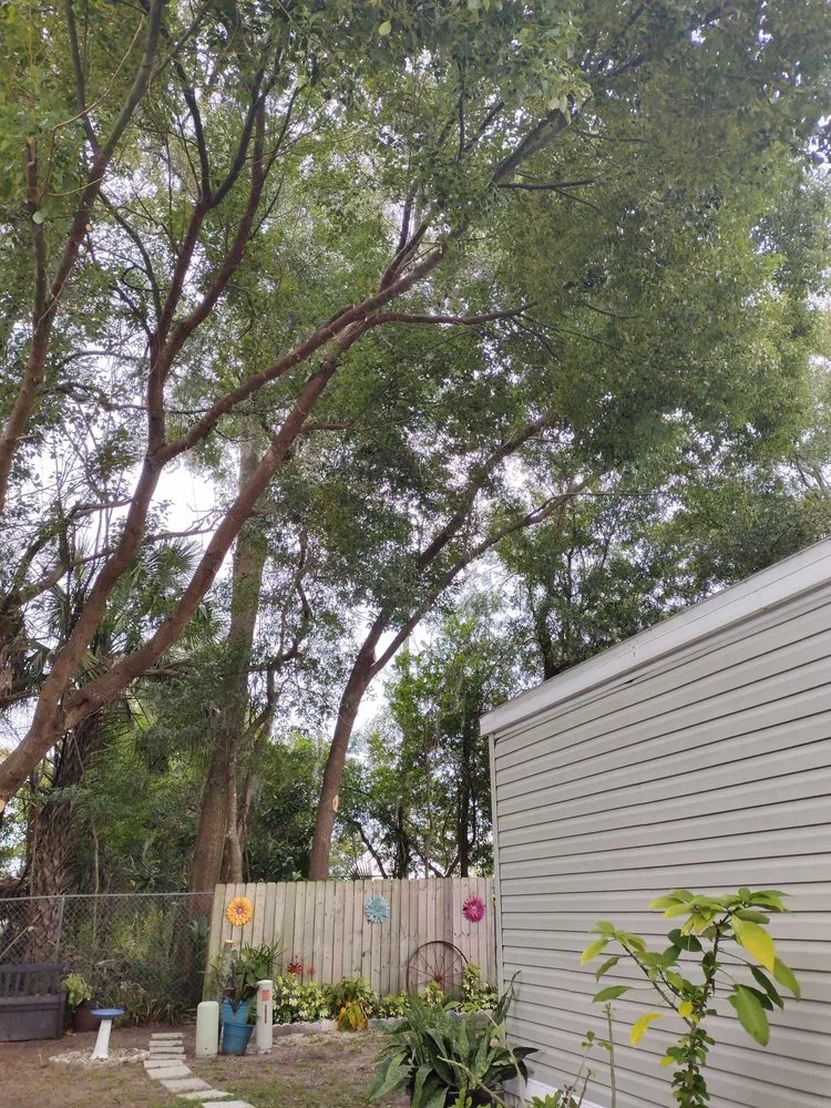 Affordable landscape design in Ocala, FL - Generations In Services