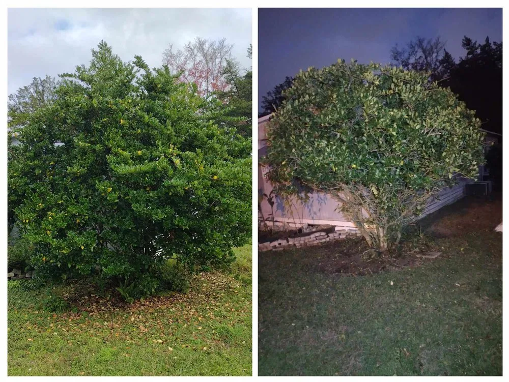 Expert lawn mowing service in Ocala, FL - Generations In Services