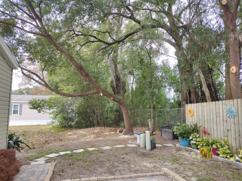 Reliable landscape design for homes across Ocala, FL - Generations In Services