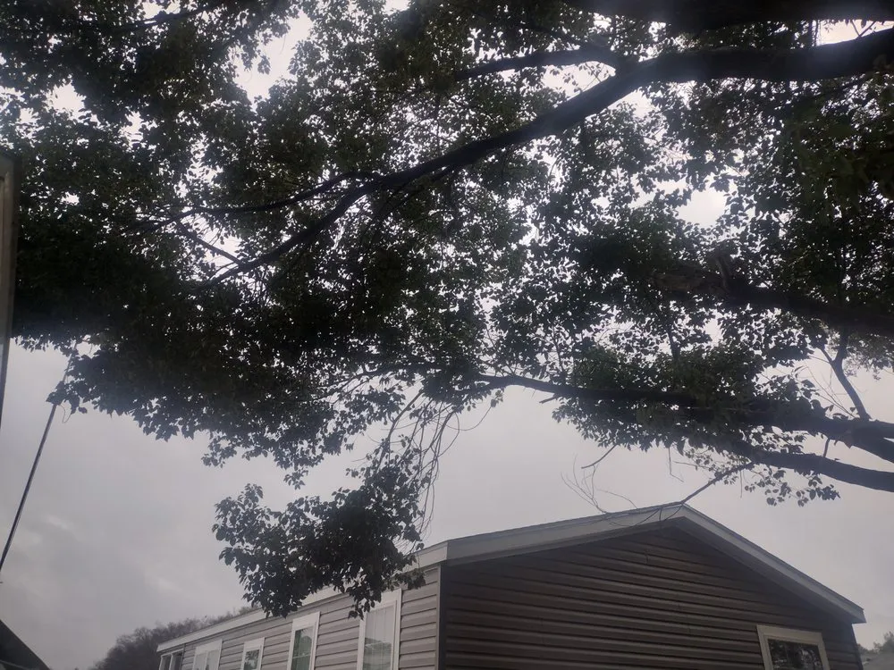 Affordable yard maintenance for outdoor upgrades across Ocala, FL - Generations In Services