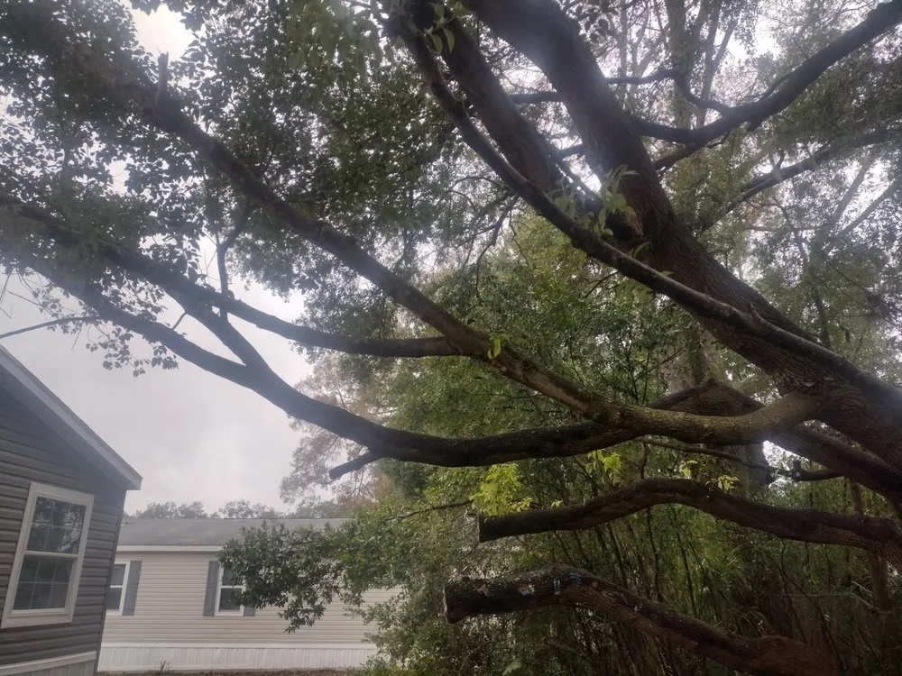 Expert landscape design experts serving Ocala, FL - Generations In Services