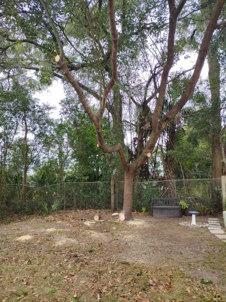 Custom landscaping services in Ocala, FL by Generations In Services