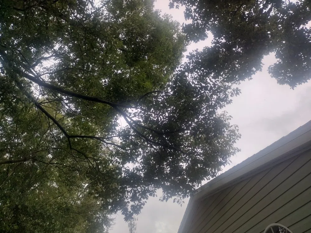 Professional landscape installation for beautiful yards in Ocala, FL by Generations In Services