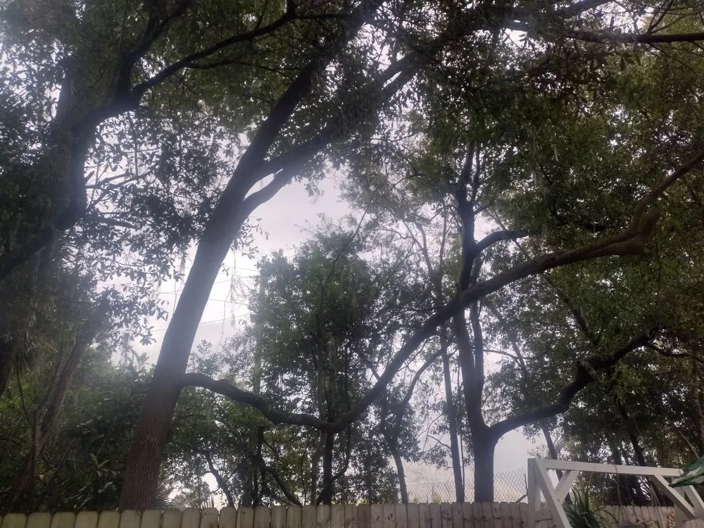 Custom garden landscaping in Ocala, FL by Generations In Services