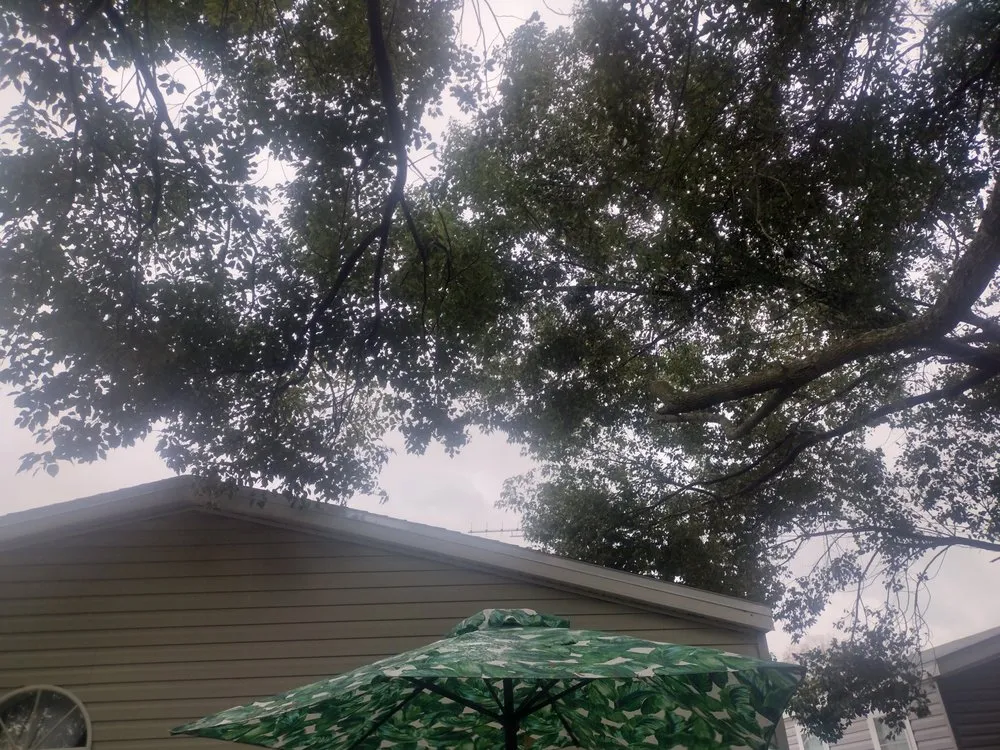 Trusted lawn mowing service in Ocala, FL - Generations In Services