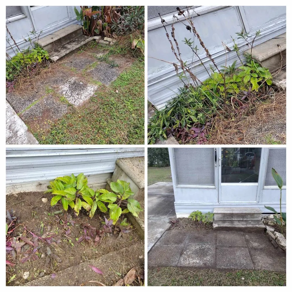 Top-rated landscaping services in Ocala, FL by Generations In Services