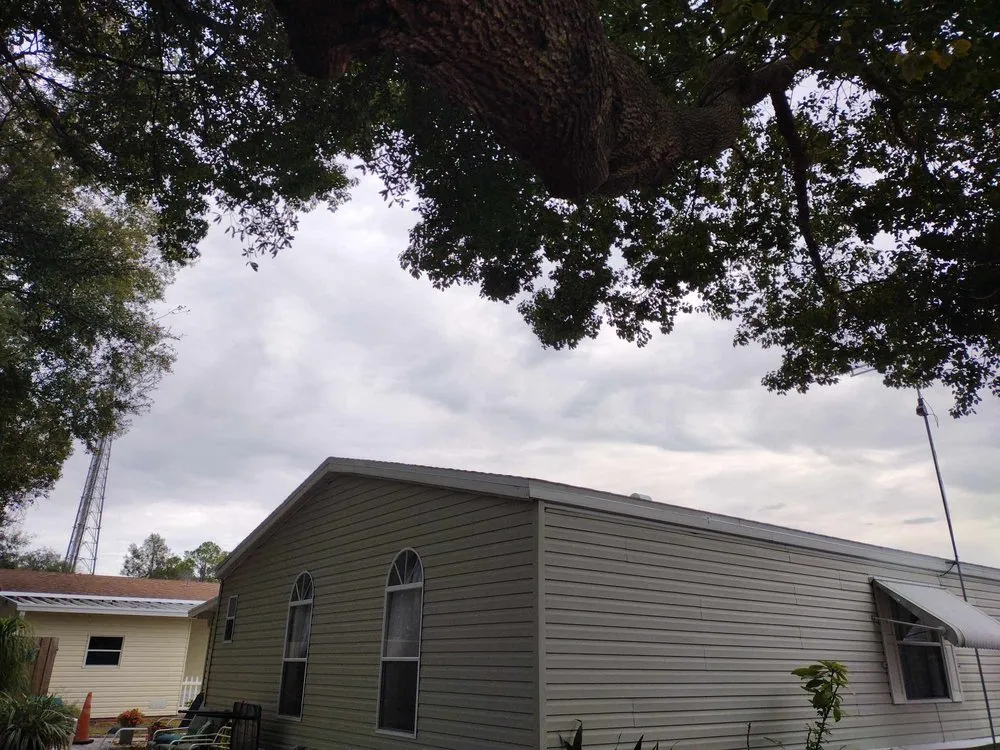 Reliable landscaping services in Ocala, FL by Generations In Services