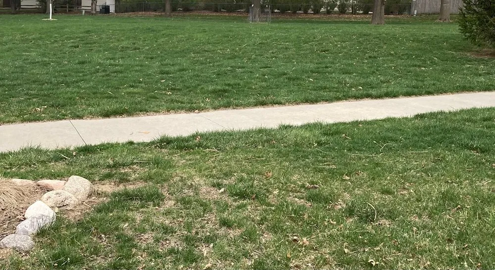 Custom yard maintenance for outdoor upgrades in Johnston, IA by Generations Lawn Care