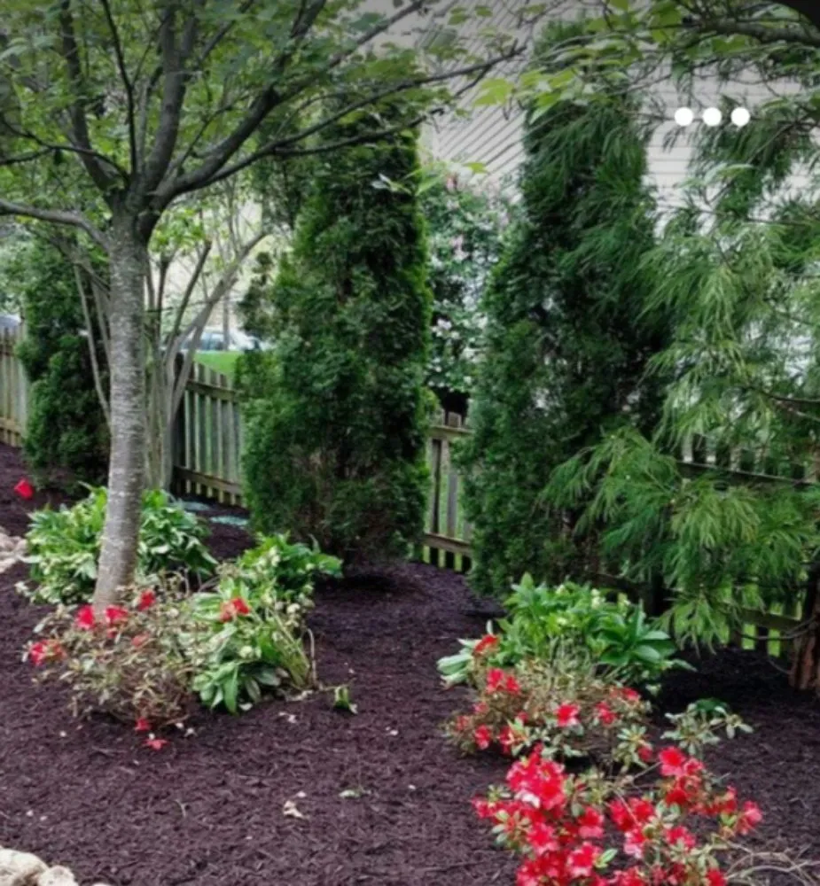 Trusted outdoor landscaping experts serving Graniteville, SC - Generations lawncare