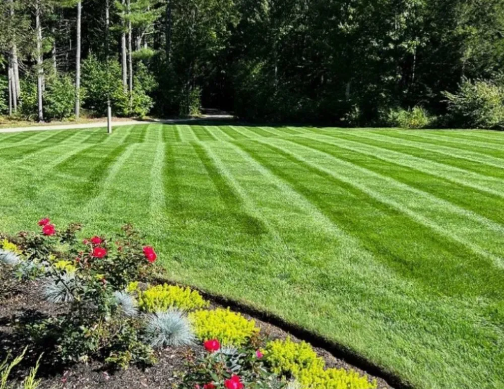 Trusted landscape installation for beautiful yards in Graniteville, SC by Generations lawncare