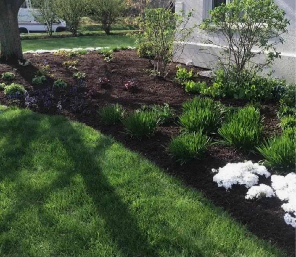 Trusted yard maintenance for residential properties across Graniteville, SC - Generations lawncare