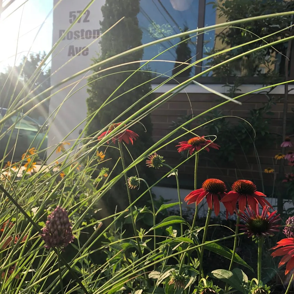 Custom yard cleanup service in Somerville, MA - Generous Earth Gardens