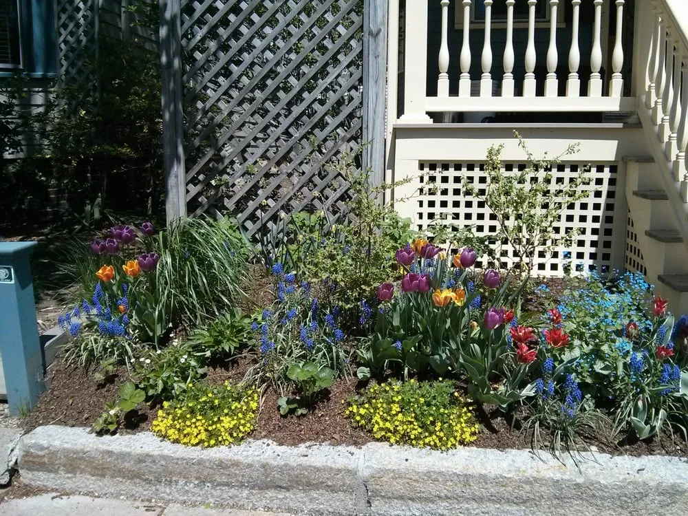 Reliable landscape design in Somerville, MA - Generous Earth Gardens