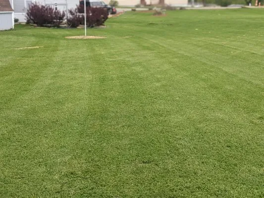 Gene's Land services