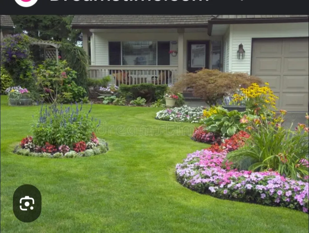 Trusted yard cleanup service experts serving Ocklawaha, FL - Genes Repairs sn Lawn Care