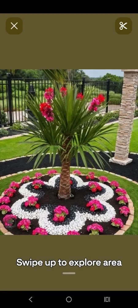 Affordable yard cleanup service experts serving Ocklawaha, FL - Genes Repairs sn Lawn Care