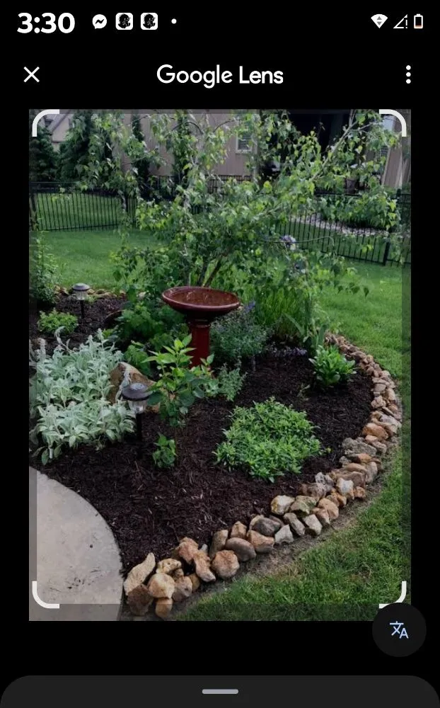 Custom lawn care service in Ocklawaha, FL - Genes Repairs sn Lawn Care