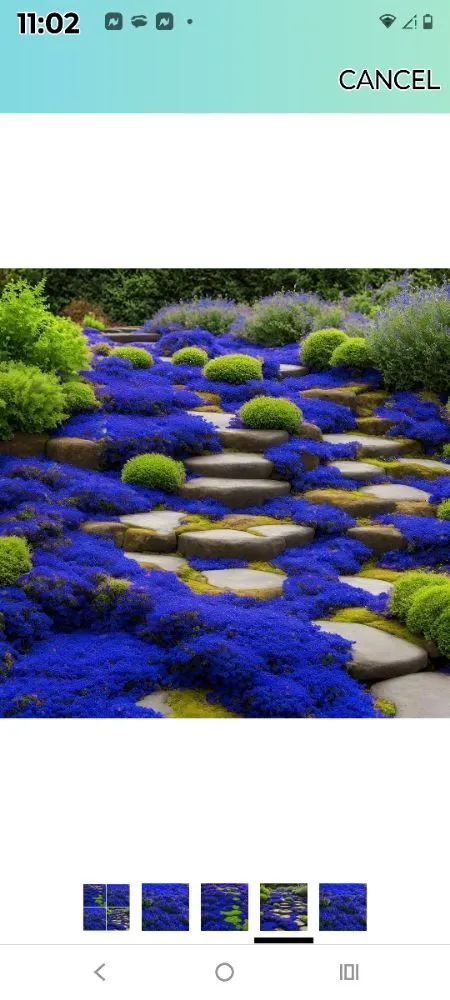 Professional garden landscaping experts serving Ocklawaha, FL - Genes Repairs sn Lawn Care