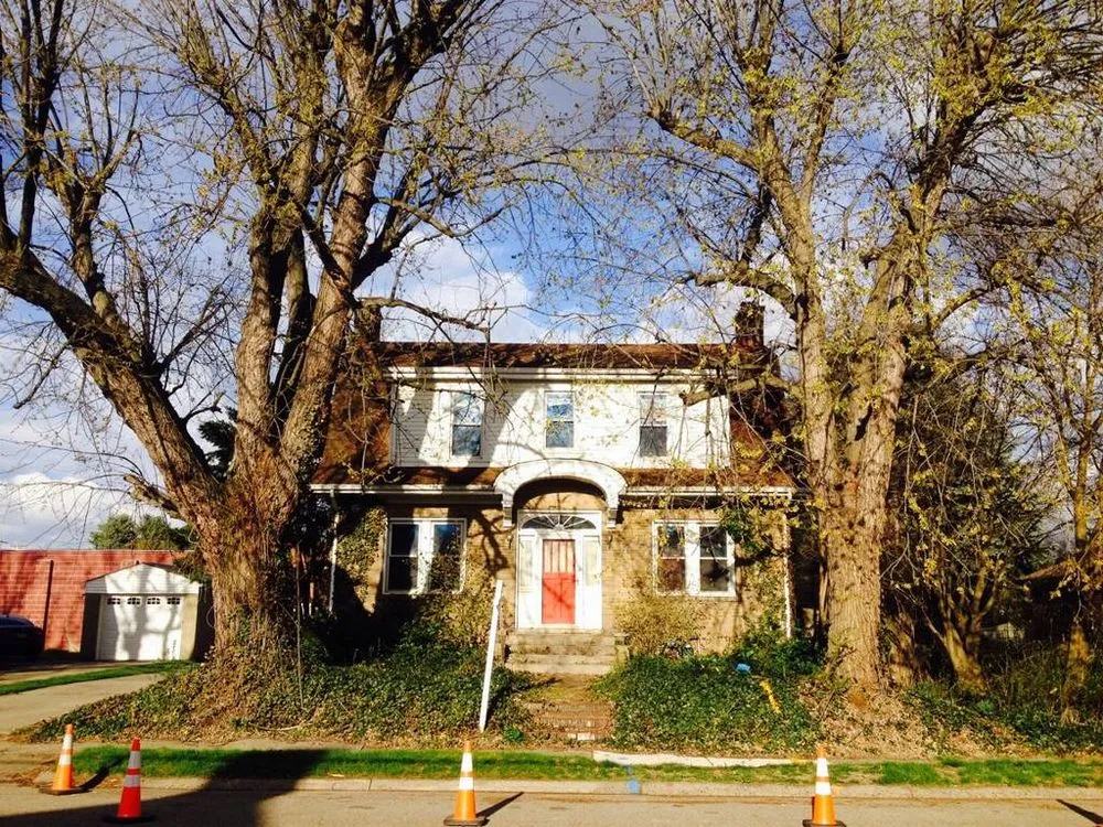 Top-rated lawn care service in Cheswick, PA by Gene's Tree and Landscaping